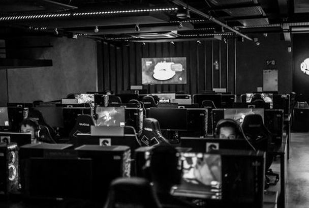 phản hồi 2026 8Day